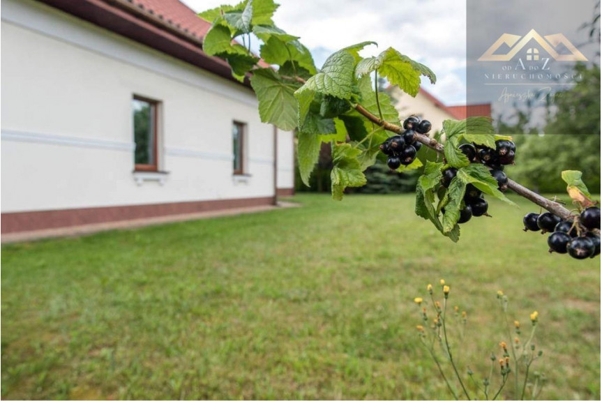 tarnowski, Tarnów, Koszyce Małe, Rezydencja z wyposażeniem