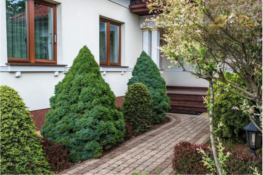 tarnowski, Tarnów, Koszyce Małe, Rezydencja z wyposażeniem