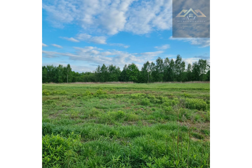 Tarn&oacute;w, Działki z wz w Tarnowie