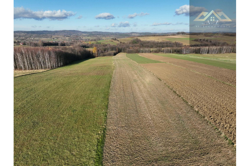 tarnowski, Szerzyny, Ołpiny, Stoisz wysoko, patrzysz daleko widoki rozchodzą się tu szerokimi kadrami, idealna działka