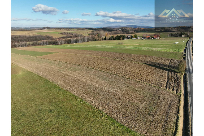 tarnowski, Szerzyny, Ołpiny, Stoisz wysoko, patrzysz daleko widoki rozchodzą się tu szerokimi kadrami, idealna działka