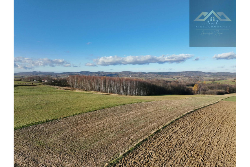 tarnowski, Szerzyny, Ołpiny, Stoisz wysoko, patrzysz daleko widoki rozchodzą się tu szerokimi kadrami, idealna działka