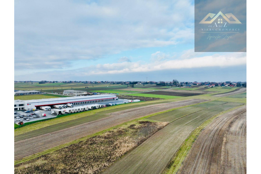 tarnowski, Lisia G&oacute;ra, Duża działka z potencjałem