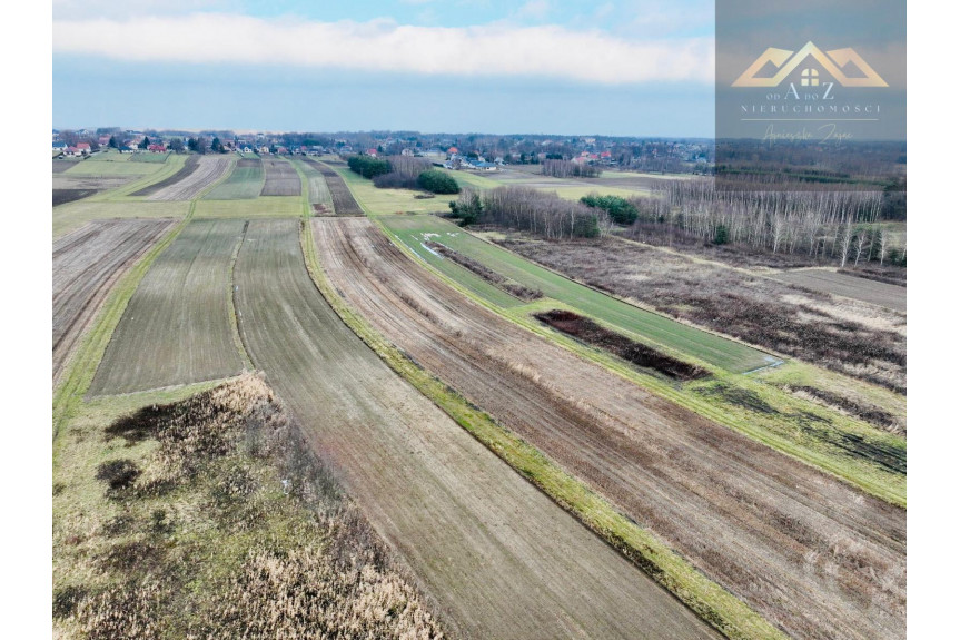 tarnowski, Lisia G&oacute;ra, Duża działka z potencjałem