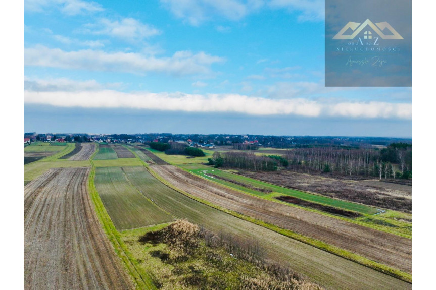 tarnowski, Lisia G&oacute;ra, Duża działka z potencjałem