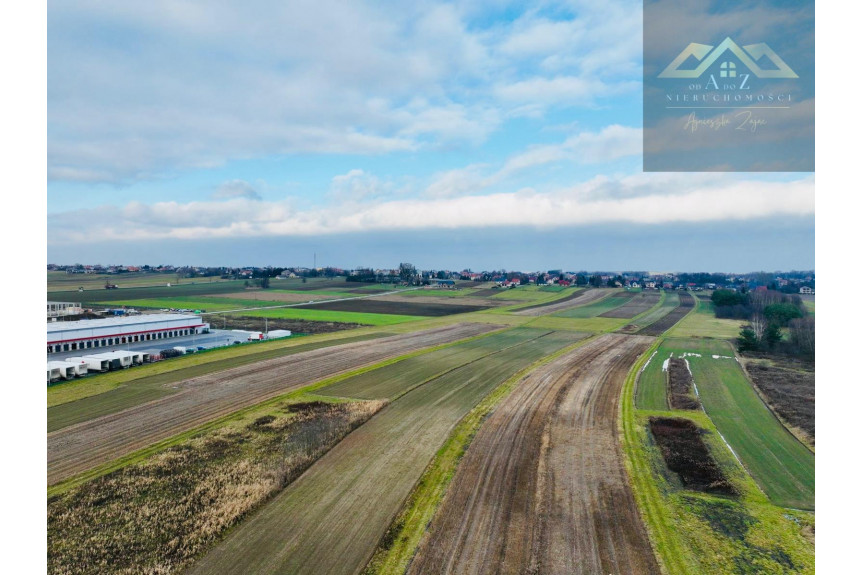 tarnowski, Lisia G&oacute;ra, Duża działka z potencjałem