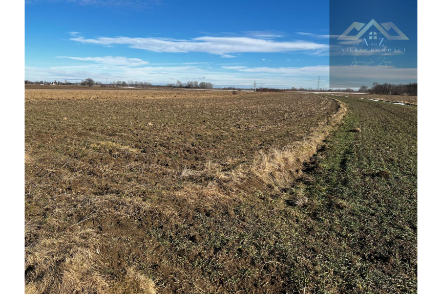 Biskupice Radłowskie, Radł&oacute;w, Działka na sprzedaż