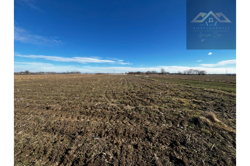 tarnowski, Radł&oacute;w, Biskupice Radłowskie, Grunt rolny wysoka klasa idealny pod uprawę i KRUS