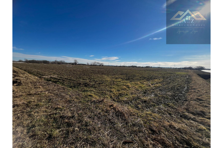 tarnowski, Radł&oacute;w, Biskupice Radłowskie, Grunt rolny wysoka klasa idealny pod uprawę i KRUS