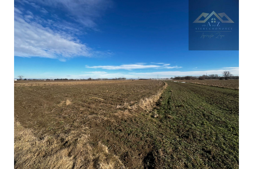 tarnowski, Radł&oacute;w, Biskupice Radłowskie, Grunt rolny wysoka klasa idealny pod uprawę i KRUS
