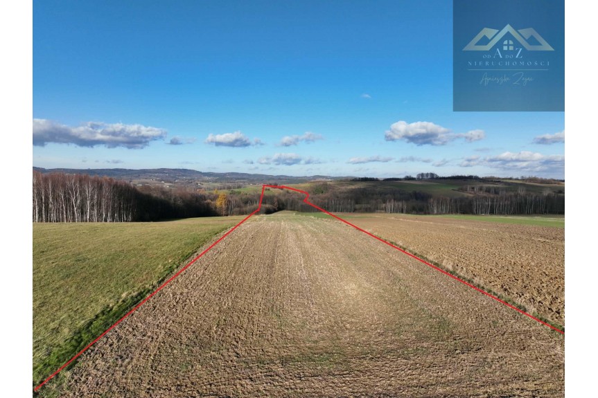 małopolskie, tarnowski, Szerzyny, Ołpiny, Stoisz wysoko, patrzysz daleko widoki rozchodzą się tu szerokimi kadrami, idealna działka