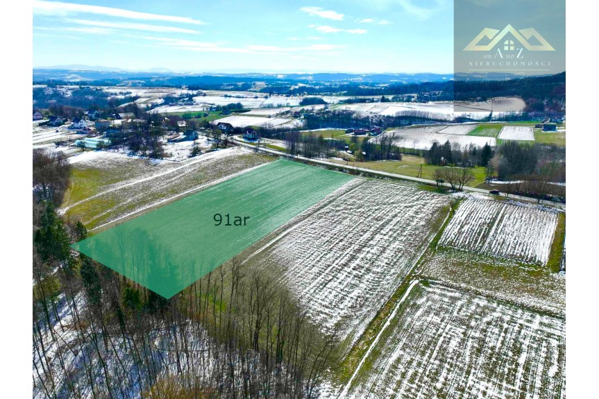 tarnowski, Pleśna, Lichwin, Budowlana 91ar Lichwin, gm. Pleśna, przy lesie!!!