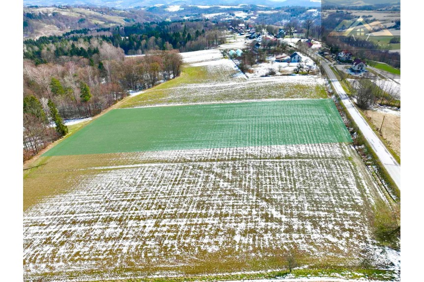 tarnowski, Pleśna, Lichwin, Budowlana 91ar Lichwin, gm. Pleśna, przy lesie!!!