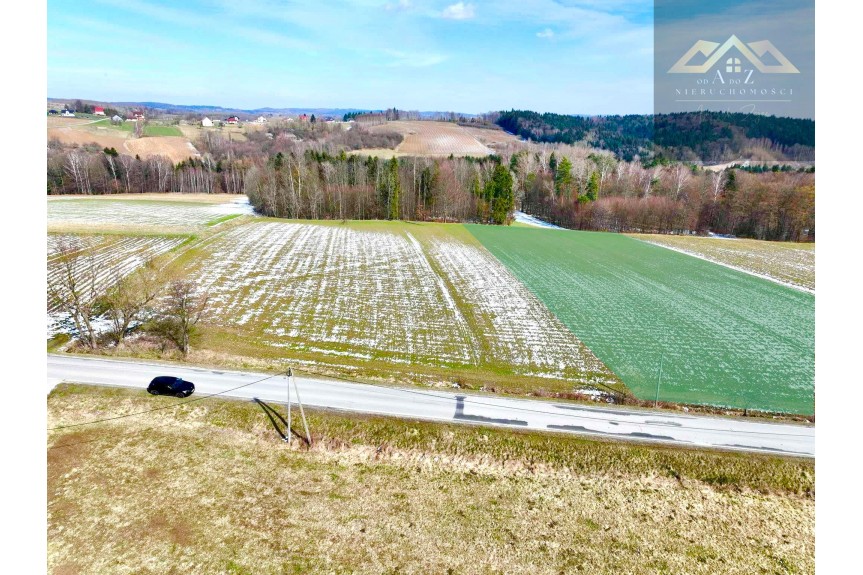 tarnowski, Pleśna, Lichwin, Budowlana 91ar Lichwin, gm. Pleśna, przy lesie!!!