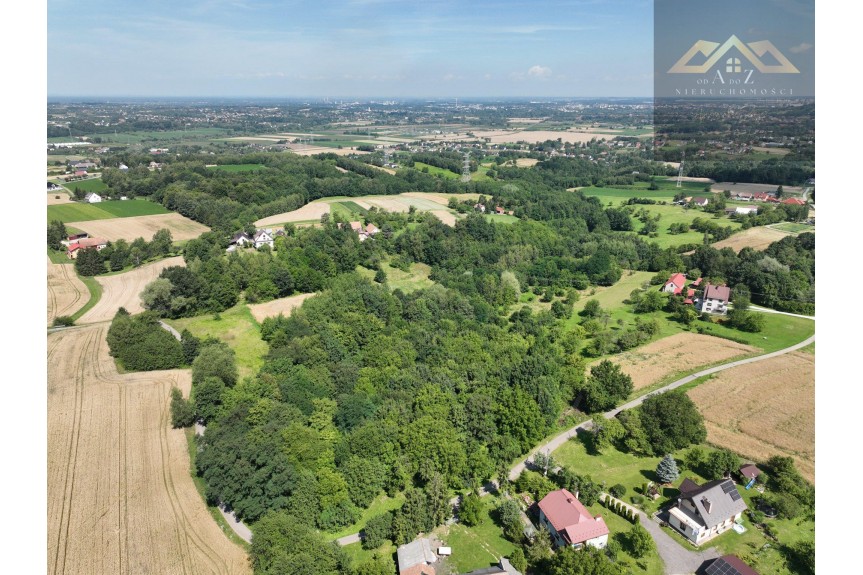 tarnowski, Pleśna, Świebodzin, Działka 81 ar&oacute;w- Świebodzin gm. Pleśna