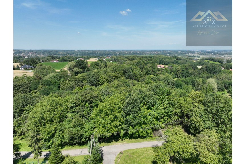 tarnowski, Pleśna, Świebodzin, Działka 81 ar&oacute;w- Świebodzin gm. Pleśna