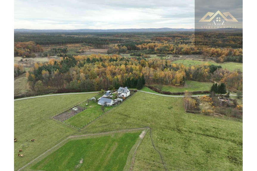 tarnowski, Wojnicz, Biadoliny Radłowskie, Duża działka blisko lasu, brak planu zagospodarowania