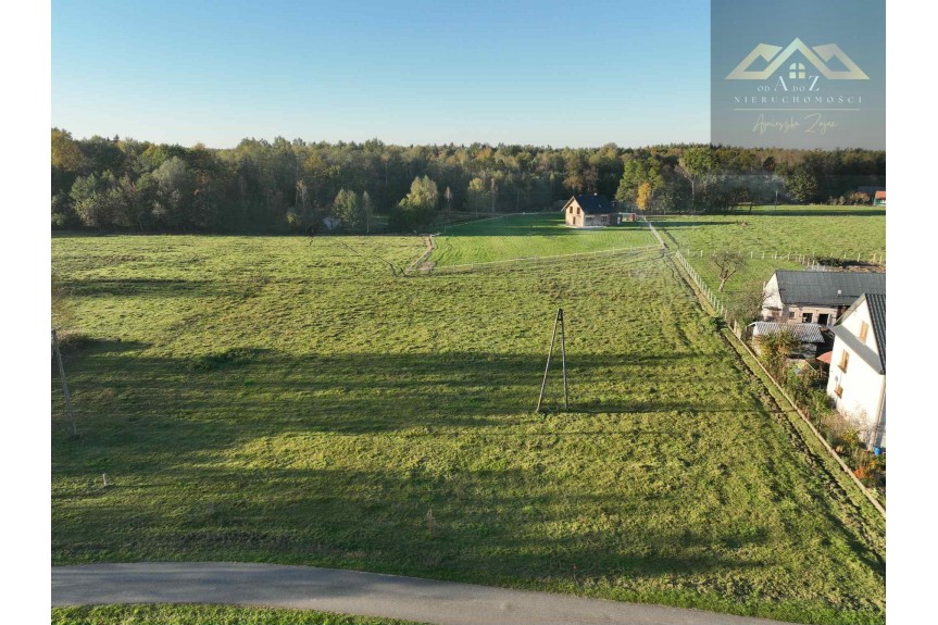 tarnowski, Wojnicz, Biadoliny Radłowskie, Duża działka blisko lasu, brak planu zagospodarowania