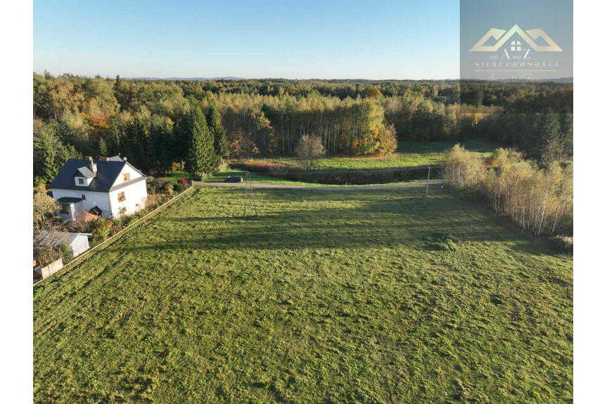 tarnowski, Wojnicz, Biadoliny Radłowskie, Duża działka blisko lasu, brak planu zagospodarowania