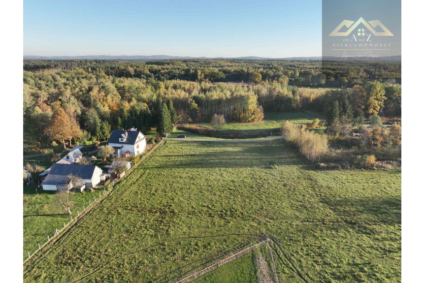 tarnowski, Wojnicz, Biadoliny Radłowskie, Duża działka blisko lasu, brak planu zagospodarowania