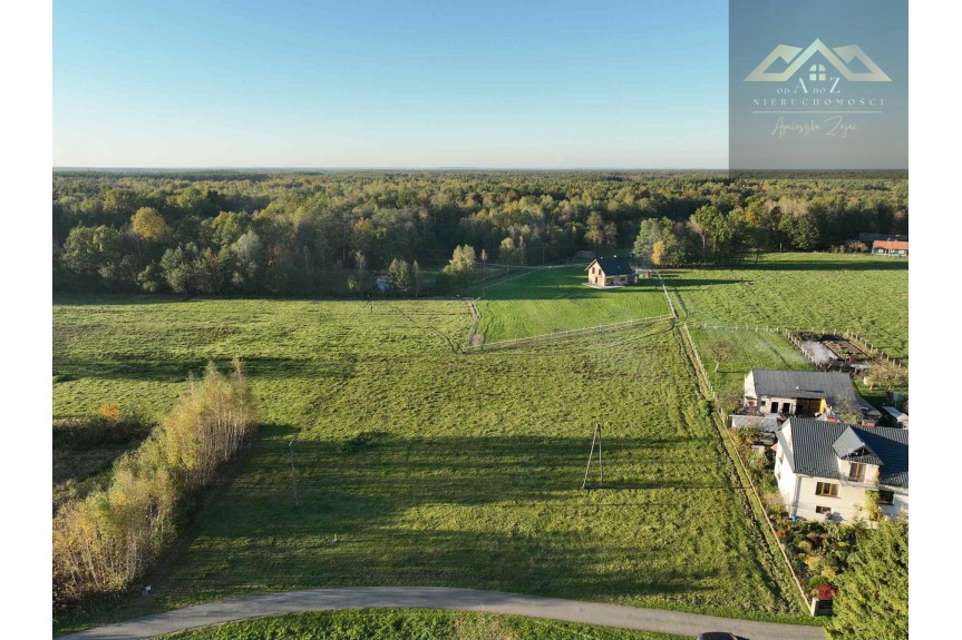 tarnowski, Wojnicz, Biadoliny Radłowskie, Duża działka blisko lasu, brak planu zagospodarowania