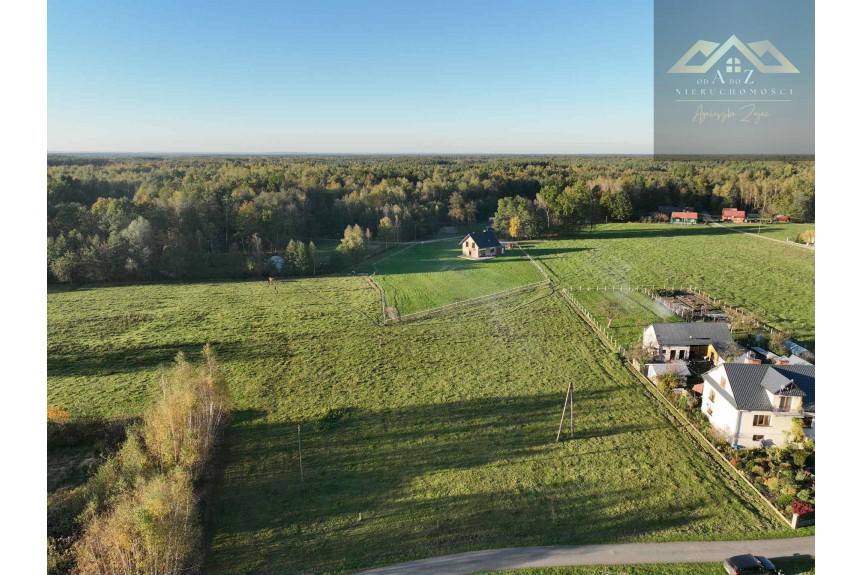 tarnowski, Wojnicz, Biadoliny Radłowskie, Duża działka blisko lasu, brak planu zagospodarowania