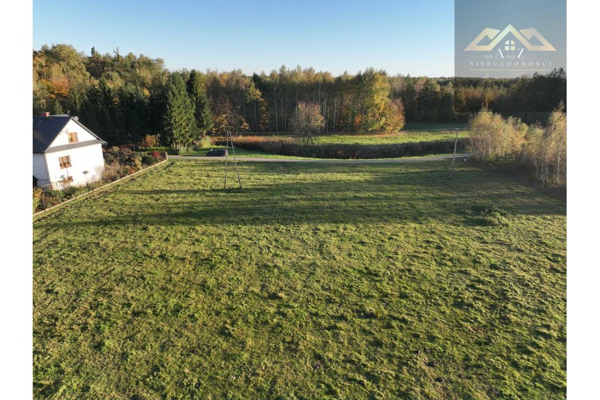 tarnowski, Wojnicz, Biadoliny Radłowskie, Duża działka blisko lasu, brak planu zagospodarowania