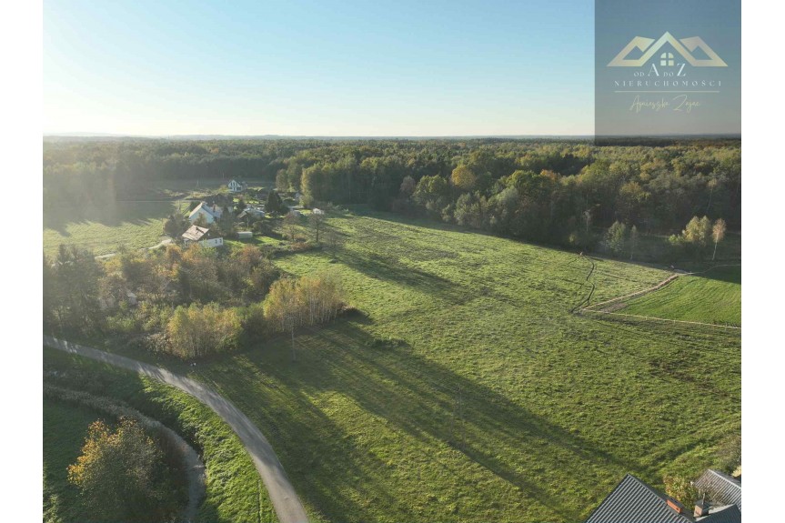 tarnowski, Wojnicz, Biadoliny Radłowskie, Duża działka blisko lasu, brak planu zagospodarowania