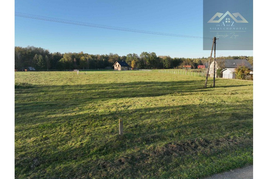 tarnowski, Wojnicz, Biadoliny Radłowskie, Duża działka blisko lasu, brak planu zagospodarowania