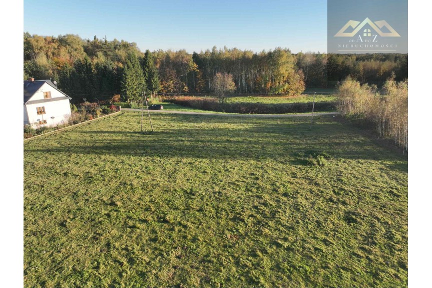 tarnowski, Wojnicz, Biadoliny Radłowskie, Duża działka blisko lasu, brak planu zagospodarowania