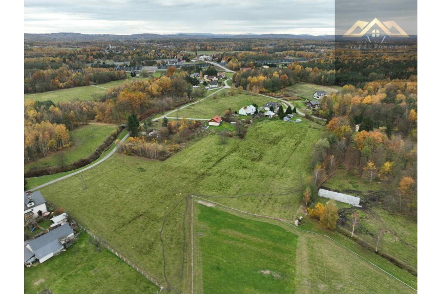 tarnowski, Wojnicz, Biadoliny Radłowskie, Duża działka blisko lasu, brak planu zagospodarowania