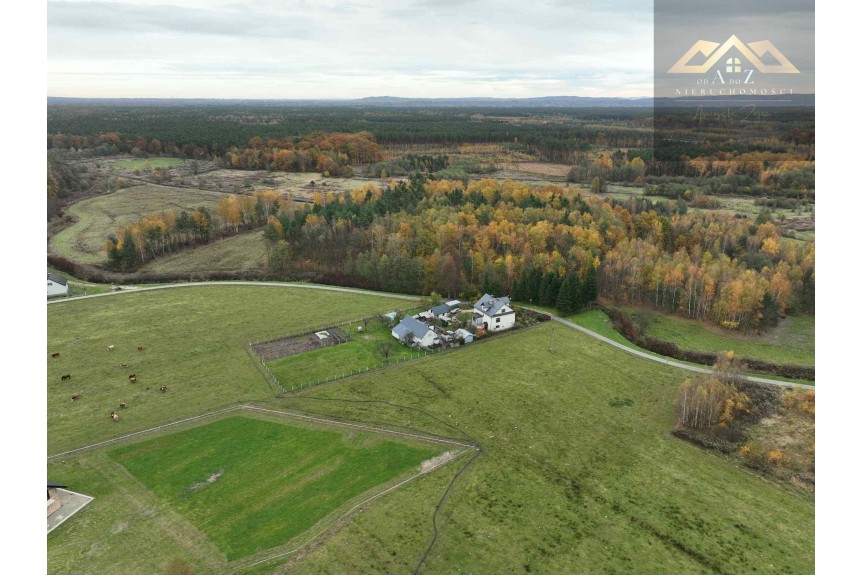 tarnowski, Wojnicz, Biadoliny Radłowskie, Duża działka blisko lasu, brak planu zagospodarowania