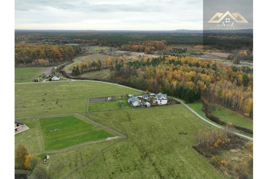 tarnowski, Wojnicz, Biadoliny Radłowskie, Duża działka blisko lasu, brak planu zagospodarowania