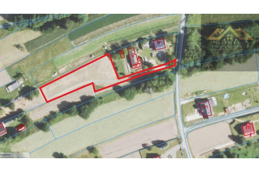 tarnowski, Skrzysz&oacute;w, Szynwałd, Wszystkie media, zabudowa zagrodowa