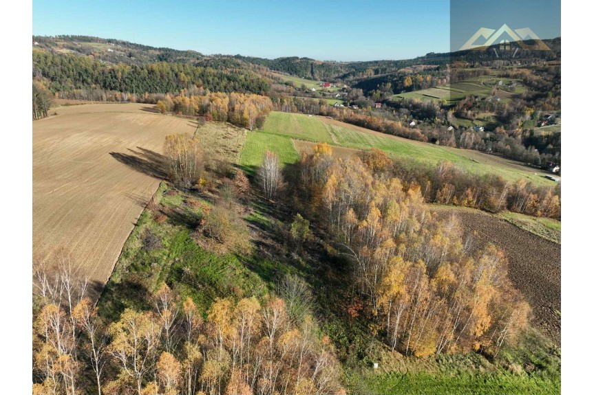 tarnowski, Zakliczyn, Olszowa, WZ na 4 budynki mieszkalne w trakcie uzystkiwania