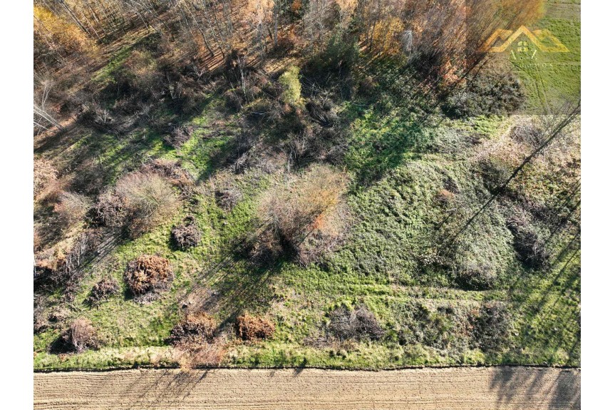 tarnowski, Zakliczyn, Olszowa, WZ na 4 budynki mieszkalne w trakcie uzystkiwania