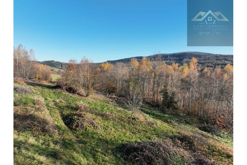 tarnowski, Zakliczyn, Olszowa, WZ na 4 budynki mieszkalne w trakcie uzystkiwania