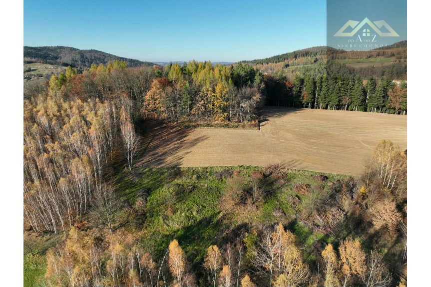 tarnowski, Zakliczyn, Olszowa, WZ na 4 budynki mieszkalne w trakcie uzystkiwania