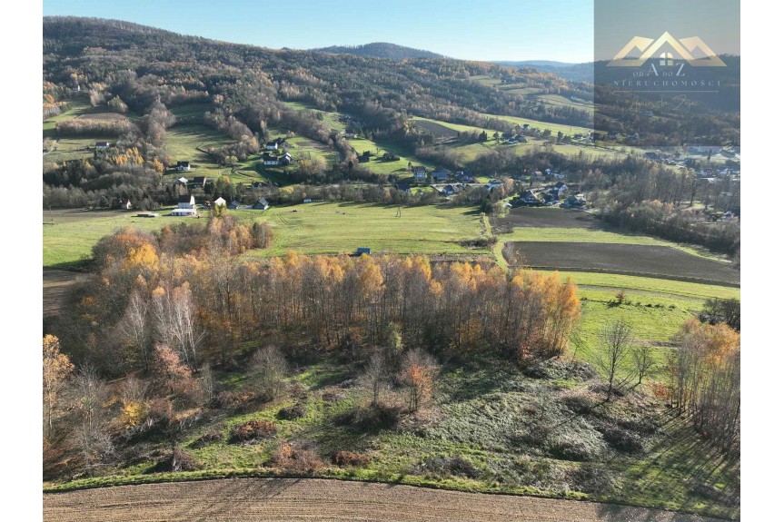 tarnowski, Zakliczyn, Olszowa, WZ na 4 budynki mieszkalne w trakcie uzystkiwania