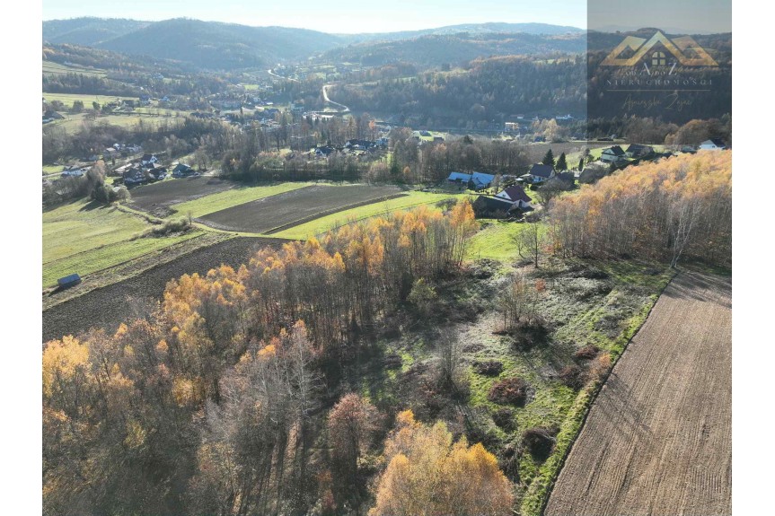 tarnowski, Zakliczyn, Olszowa, WZ na 4 budynki mieszkalne w trakcie uzystkiwania