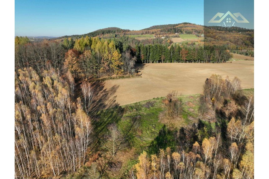 tarnowski, Zakliczyn, Olszowa, WZ na 4 budynki mieszkalne w trakcie uzystkiwania