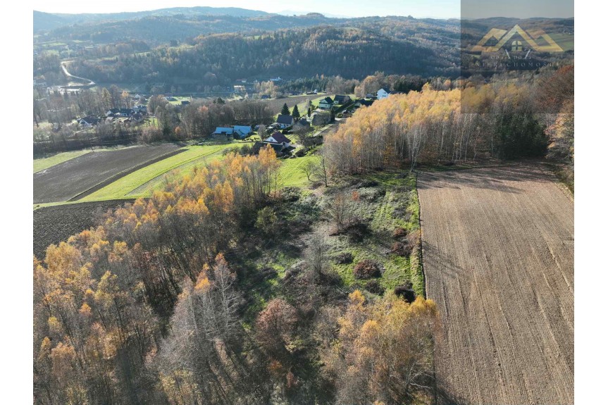 tarnowski, Zakliczyn, Olszowa, WZ na 4 budynki mieszkalne w trakcie uzystkiwania