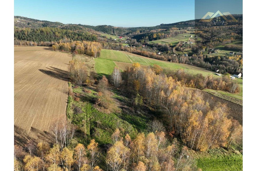 tarnowski, Zakliczyn, Olszowa, WZ na 4 budynki mieszkalne w trakcie uzystkiwania