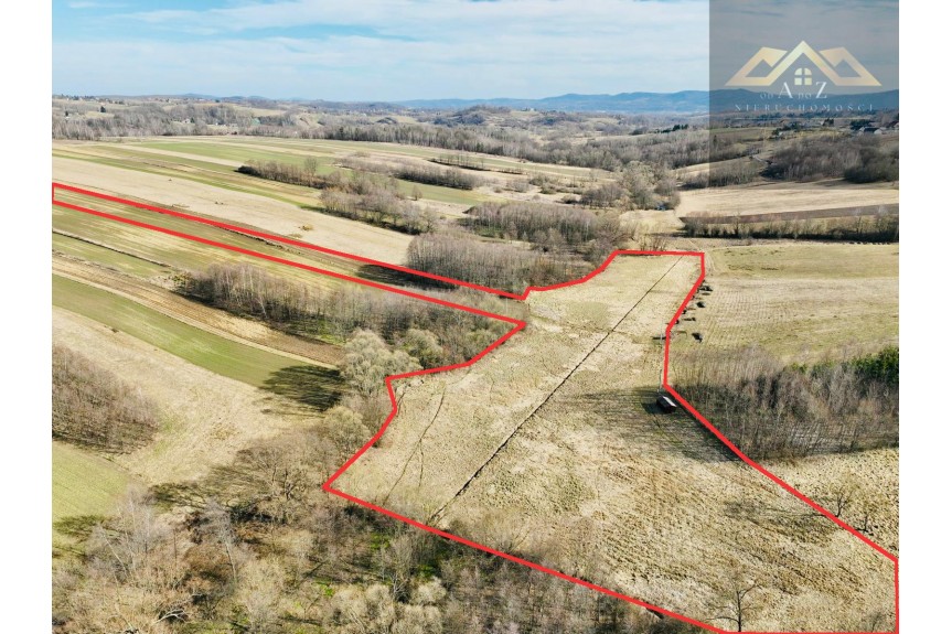 brzeski, Gnojnik, Grunty 3 ha pod agroturystykę, stawy, stadninę koni, zabudowę