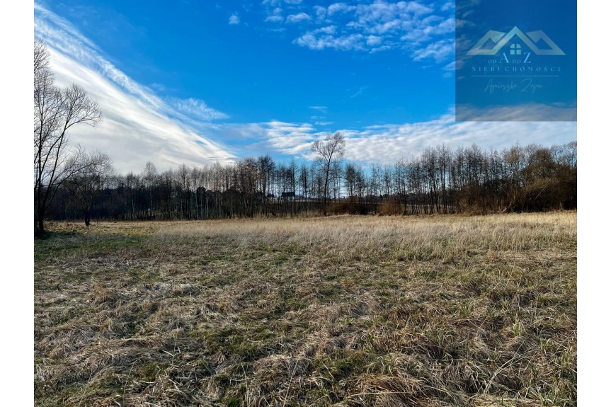 brzeski, Gnojnik, Grunty 3 ha pod agroturystykę, stawy, stadninę koni, zabudowę