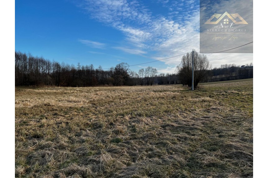 brzeski, Gnojnik, Grunty 3 ha pod agroturystykę, stawy, stadninę koni, zabudowę