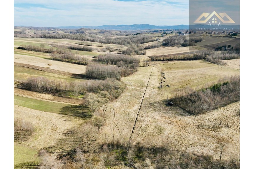 brzeski, Gnojnik, Grunty 3 ha pod agroturystykę, stawy, stadninę koni, zabudowę