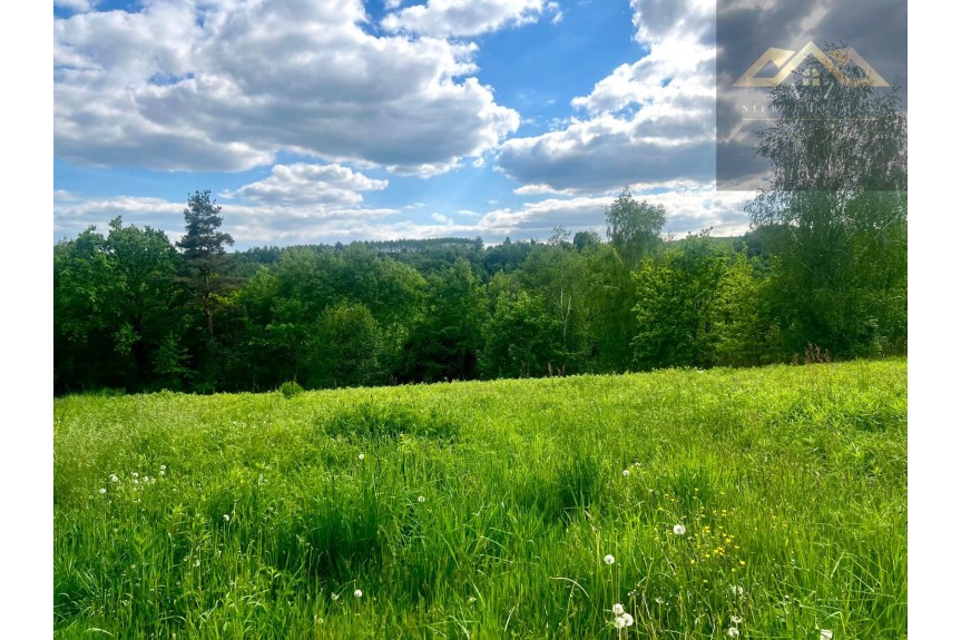 tarnowski, Zakliczyn, Widokowa działka budowlana gm. Zakliczyn, Faliszewice