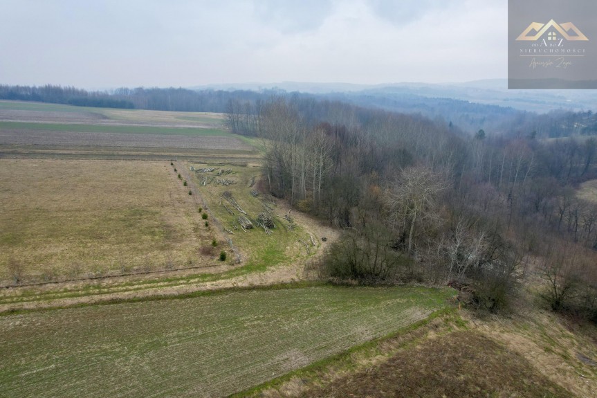 tarnowski, Ryglice, Kowalowa, Działka w Kowalowej