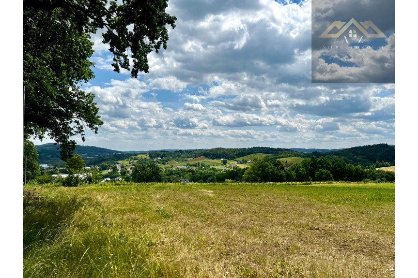 małopolskie, tarnowski, Wojnicz, Olszyny, Las mieszany z widokiem na g&oacute;ry